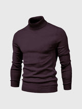 Herren Rollkragenpullover – Slim Fit Rollkragenpullover mit modernem Schnitt