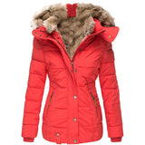 Damen-Wintermantel – Taillierter Parka mit abnehmbarer Kapuze