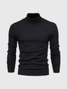 Herren Rollkragenpullover – Slim Fit Rollkragenpullover mit modernem Schnitt